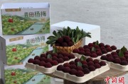 嫁给养父高速赋能产业升级：一条“杨梅路”的致富密码